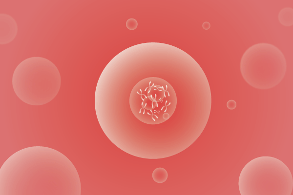CNV,拷贝数变化遗传病、基因病、罕见病基因解码，基因检测，基因筛查与分子诊断