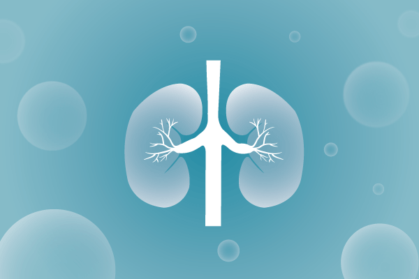 泌尿系统，肾脏，膀胱，尿病，肾不好遗传病、基因病、罕见病的基因解码，基因检测，基因筛查与分子诊断