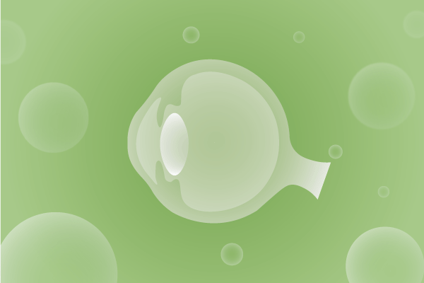 眼科，视光中心，眼科诊所，眼睛相关遗传病、基因病、罕见病的基因解码，基因检测，基因筛查与分子诊断