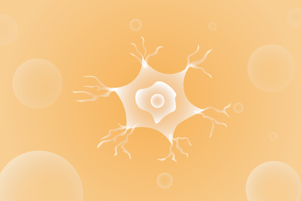 神经科肌肉系统及运动神经系统遗传病、基因病、罕见病的基因解码，基因检测，基因筛查与分子诊断