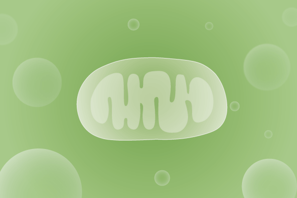 线粒体病、线粒体疾病遗传病、基因病、罕见病基因解码，基因检测，基因筛查与分子诊断