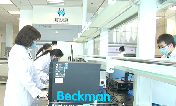 【k8com官网基因-基因