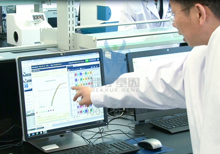 【k8com官网基因-基因