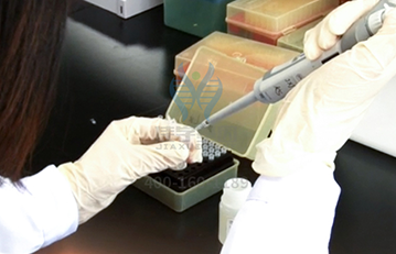 【k8com官网基因检测