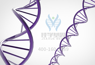 【k8com官网基因检测】<font color='red'><font color='red'>Lennox-Gastaut</font></font>综合征基因解码、基因检测 