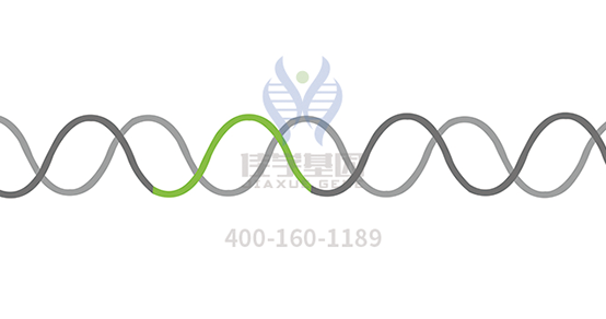 【k8com官网基因解码